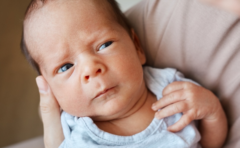 Idaho överklagar abortdom till federal appellationsdomstol